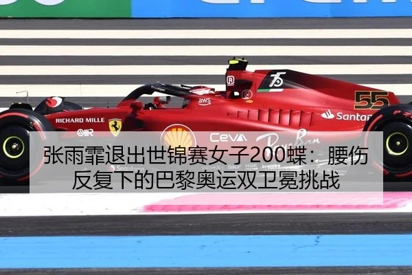 zhang-yu-fei-tui-chu-shi-jin-sai-nv-zi-die-yao-shang-fan-fu-xia-de-ba-li-ao-yun-shuang-wei-mian-tiao-zhan-3-660.jpg
